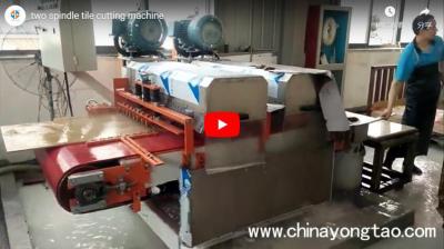 YTQZ-B/2-1000 Two Spindle Automatic Wet Tile Cutting Machine